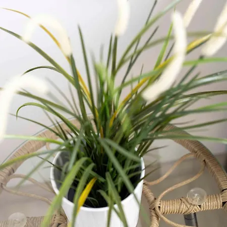 In - Insel Krk 53119 אומיסאליי